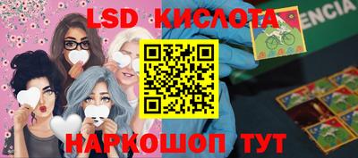 apvp Ярославль