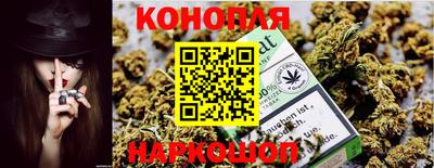 apvp Ярославль