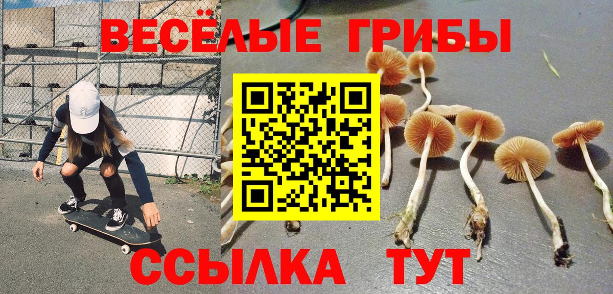 Галлюциногенные грибы Psilocybine cubensis  Псилоцибиновые грибы ЛСД  Вход с VPN  Саров 